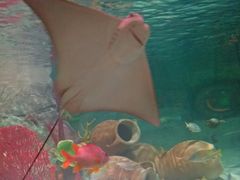 -沈阳海洋探索中心