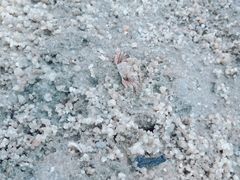 -北海金海湾红树林生态旅游区