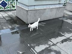-荔湾湖公园