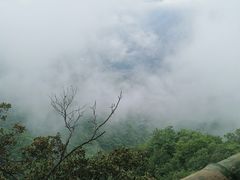 -塔云山