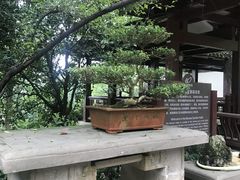 -南山植物园
