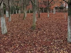 -白马涧龙池景区