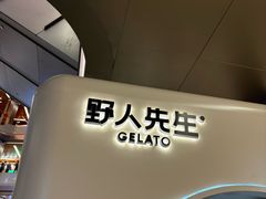 -野人先生现做冰淇淋(北京环宇荟店)