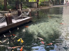 -Waterfall瀑布湾优健源(华侨城店)