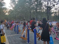 -回龙观体育文化公园