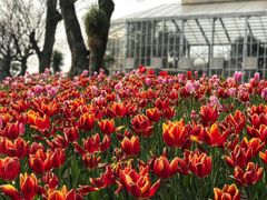 -南通洲际绿博园