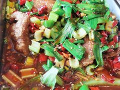 -小四川菜馆(托乐嘉店)