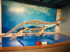 -自贡恐龙博物馆