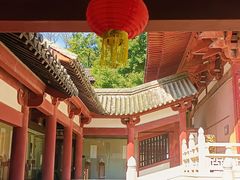-灵谷景区