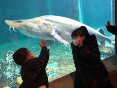 -华夏文旅海洋公园