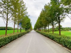 -嘉北郊野公园