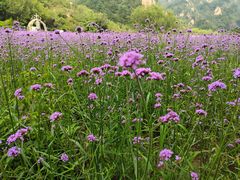 -云峰山自然风景区
