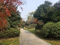 -桃花岛景观公园