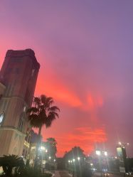 -奇幻丛林(佛罗伦萨小镇店)