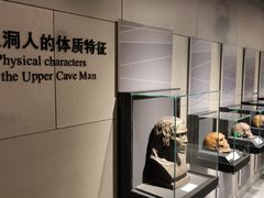 -北京周口店北京人遗址博物馆