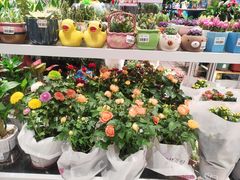 -大润发(国兴店)