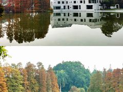 -中国科学院华南植物园