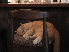 -Double cafe