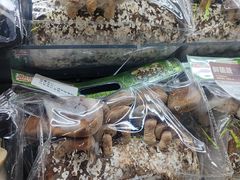 -世纪联华超市(外海店)