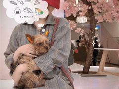 -浣熊柯尔鸭土拨鼠·电玩咖