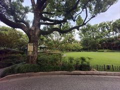 -申粤轩酒楼·三十年粤菜经典(丁香花园店)