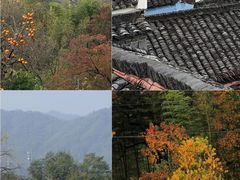 -塔川景区