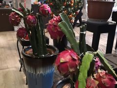 -茅庐·川粤精品私房菜(金沙遗址店)