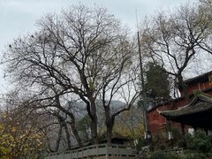 -白帝城·瞿塘峡景区