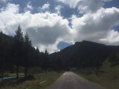 -苏木山森林公园