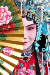 -胭脂猫京剧摄影