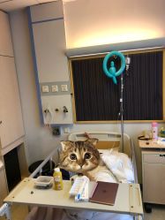 -北京新世纪儿童医院