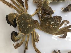 -乡乐园蟹庄·阳澄湖农家乐