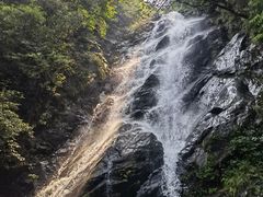 -梧桐山风景名胜区