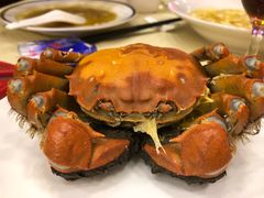 -王宝和酒家(黄浦店)