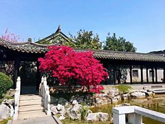 -口岸雕花楼