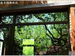 window-Boxing Cat Brewery拳击猫精酿啤酒馆(永福店)