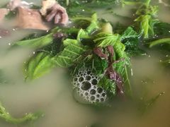 -百丈园(陈村店)