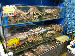 -蚝专家(北滘店)