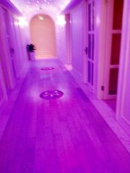 -海茱雅科技健康美容