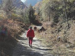 -孟屯河谷景区