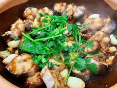 -广宁炭炉鸡煲·富临门饭店