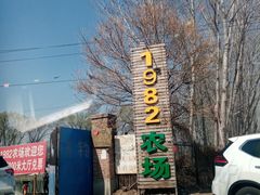 -1982农场