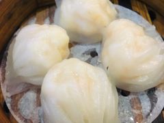 添运来虾饺皇-添运来(茶园奥园广场店)
