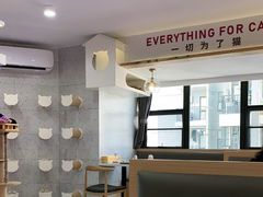 -喵园·猫主题咖啡厅·撸猫·猫咖(国贸店)