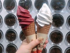 椰椰脆筒-喜茶(佛山南海万科广场店)
