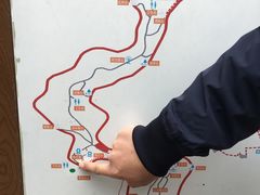 -金鸡山公园