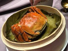 -子福慧(虹桥店)