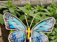 -南宫五洲植物乐园