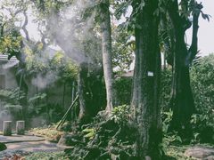 -Chom Cafe and Restaurant