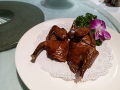 -席家花园(巨鹿花园店)